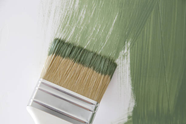 Best Forensic Mold Investigation  in Rolesville, NC