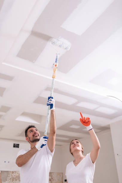 Best Environmental Consulting for Mold Prevention  in Rolesville, NC
