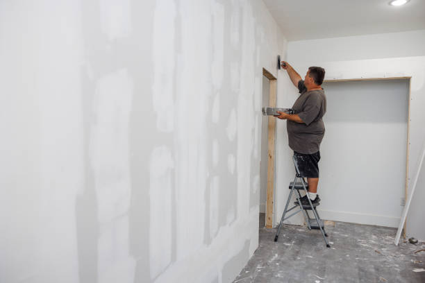 Best Crawl Space Mold Remediation  in Rolesville, NC